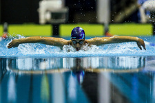 دبیر فدراسیون نجات غریق: درخواستی برای استخر آزادی نداشته‌ایم